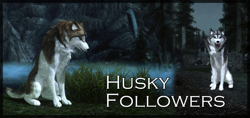 Skyrim - Хаски компаньон / Husky Followers